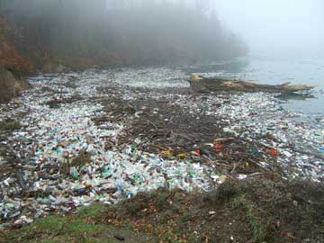 plastic